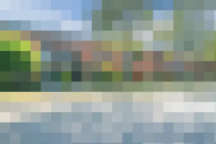 De Reit 8 Vleuten thumbnail 5