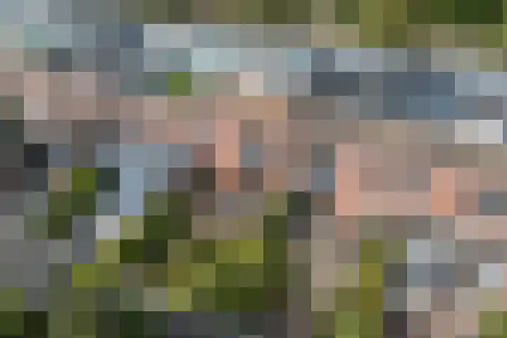 De Reit 8 Vleuten thumbnail 50