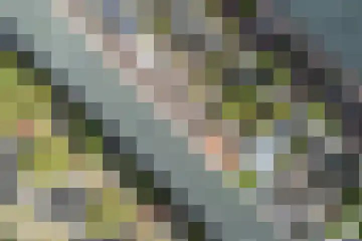 De Reit 8 Vleuten thumbnail 51