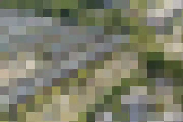 De Reit 8 Vleuten thumbnail 52