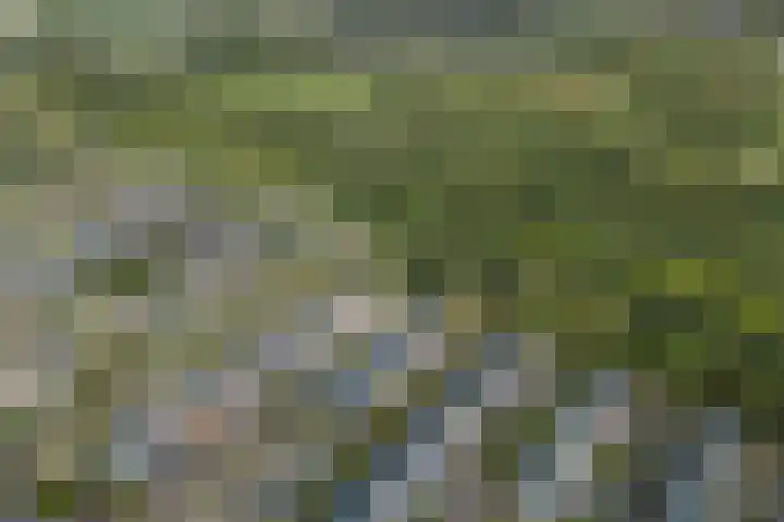 De Reit 8 Vleuten thumbnail 53