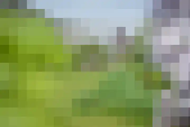 De Reit 8 Vleuten thumbnail 54