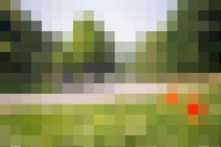 De Reit 8 Vleuten thumbnail 55