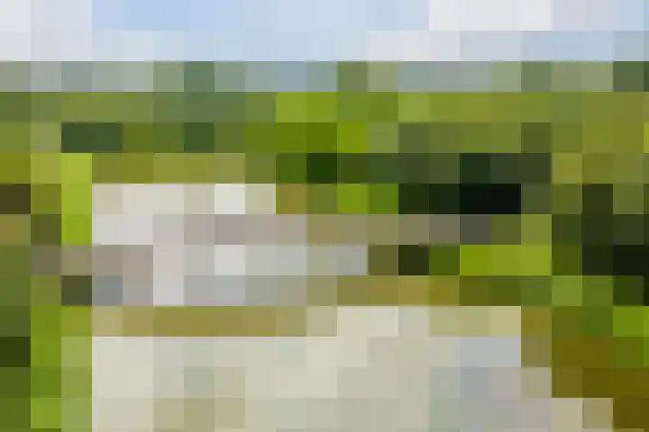 De Reit 8 Vleuten thumbnail 56