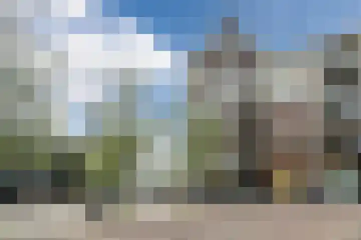 De Reit 8 Vleuten thumbnail 59