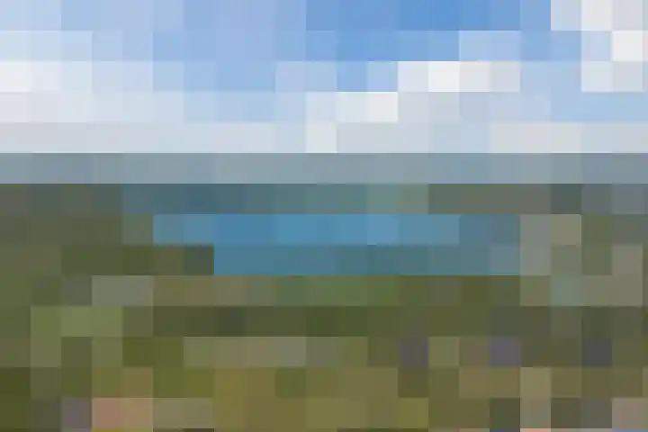 De Reit 8 Vleuten thumbnail 62