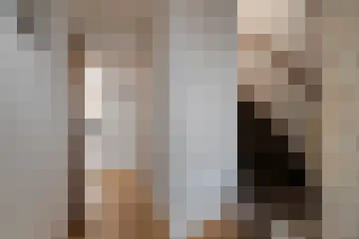 De Reitstraat 2 Goirle thumbnail 11