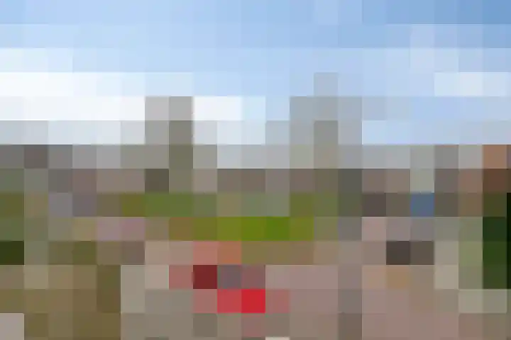 De Reitstraat 2 Goirle thumbnail 17