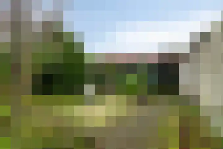 De Reitstraat 2 Goirle thumbnail 25
