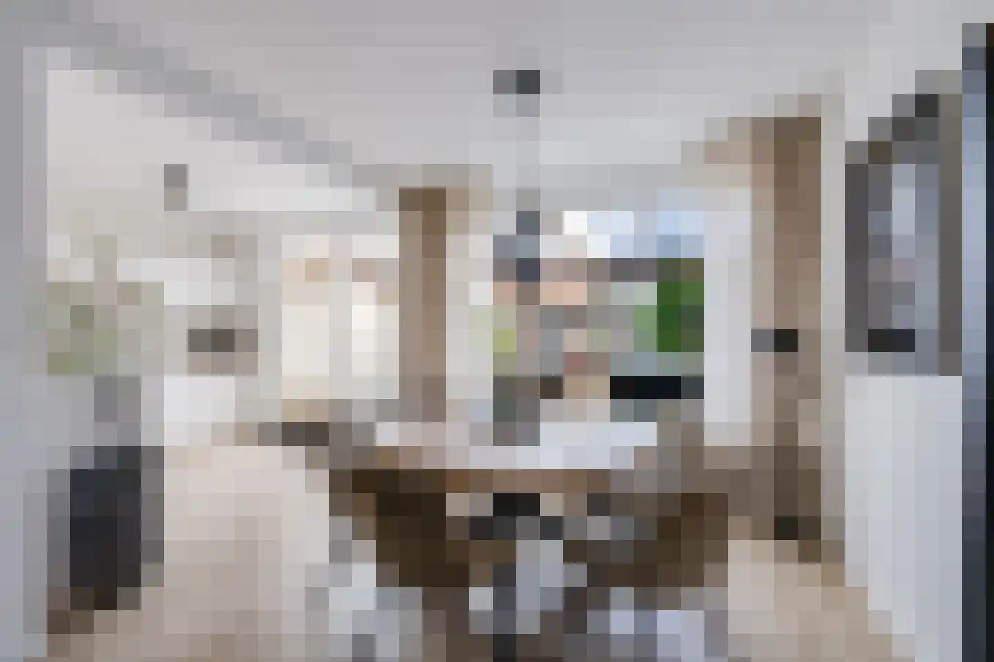 De Reitstraat 7 Goirle thumbnail 19