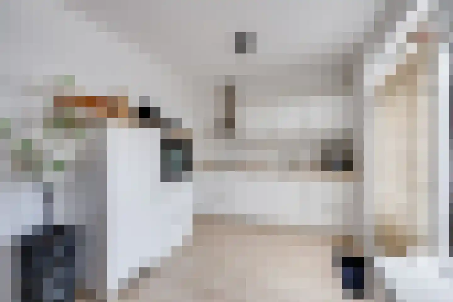 De Reitstraat 7 Goirle thumbnail 20