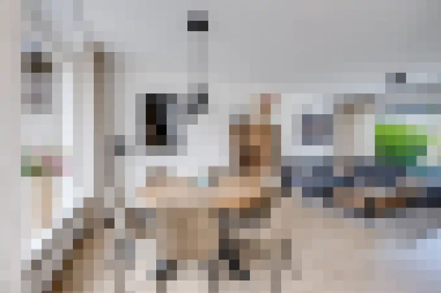 De Reitstraat 7 Goirle thumbnail 23