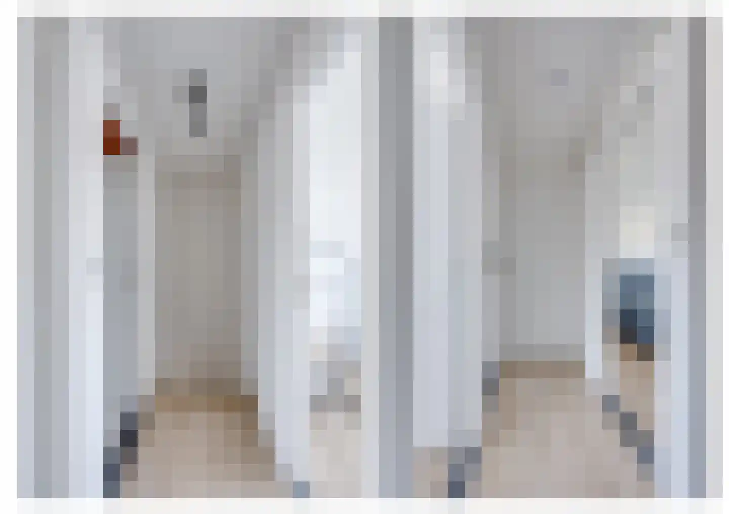 De Reitstraat 7 Goirle thumbnail 24