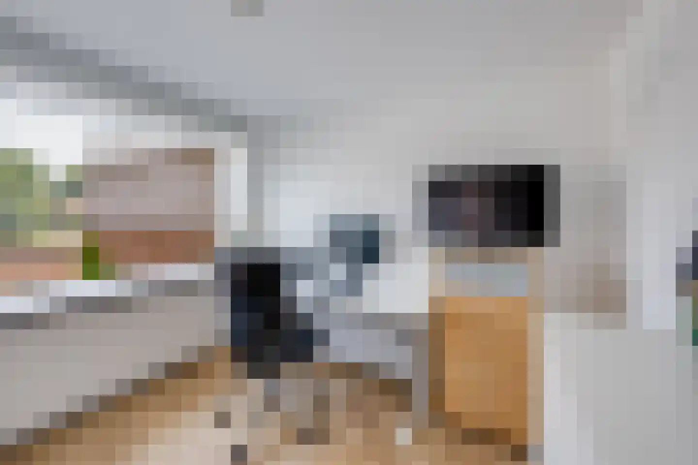 De Reitstraat 7 Goirle thumbnail 31