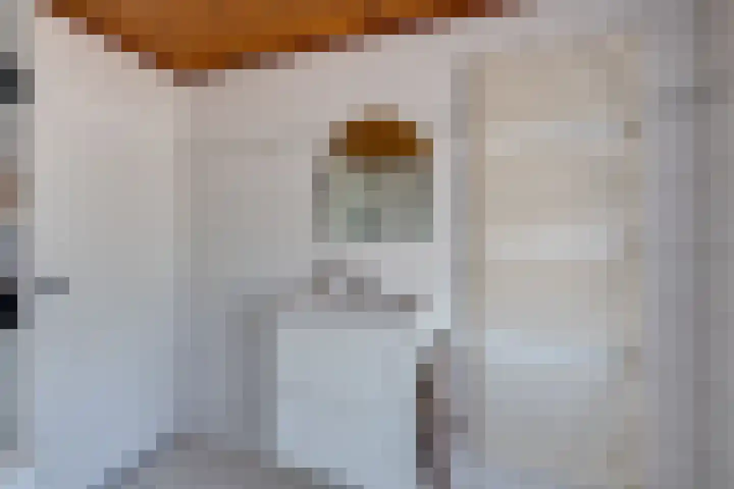 De Reitstraat 7 Goirle thumbnail 36