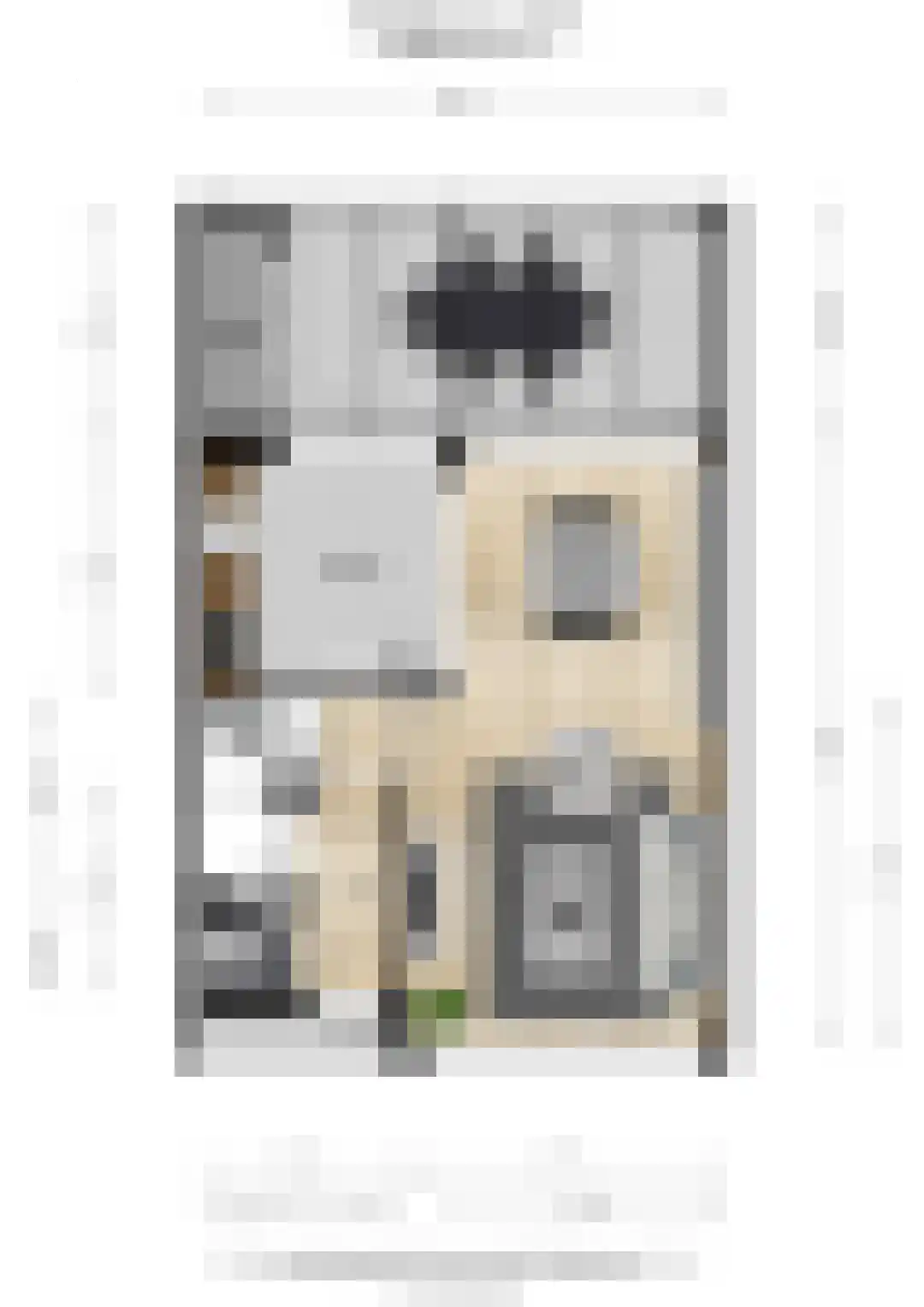 De Reitstraat 7 Goirle thumbnail 47