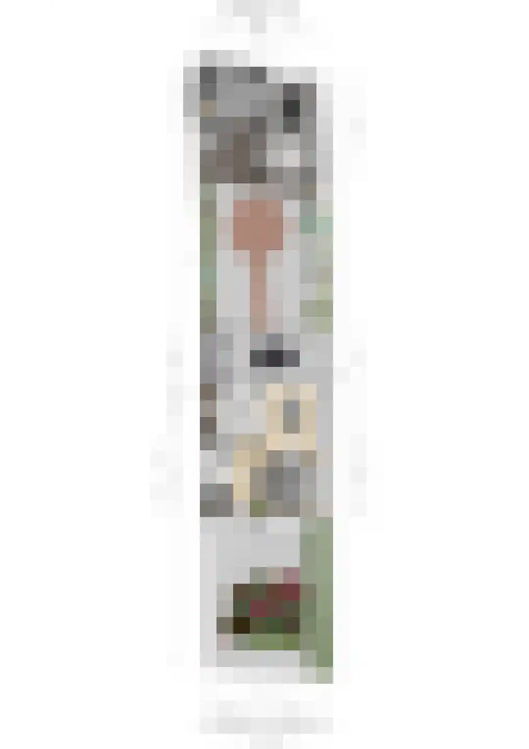 De Reitstraat 7 Goirle thumbnail 56