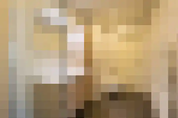 De Rekere 13 Bergen (NH) thumbnail 13