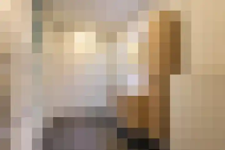 De Rekere 13 Bergen (NH) thumbnail 14