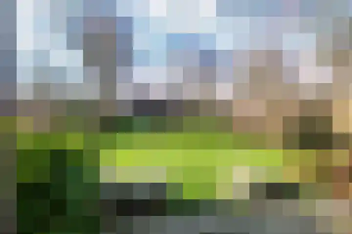 De Rekere 13 Bergen (NH) thumbnail 16