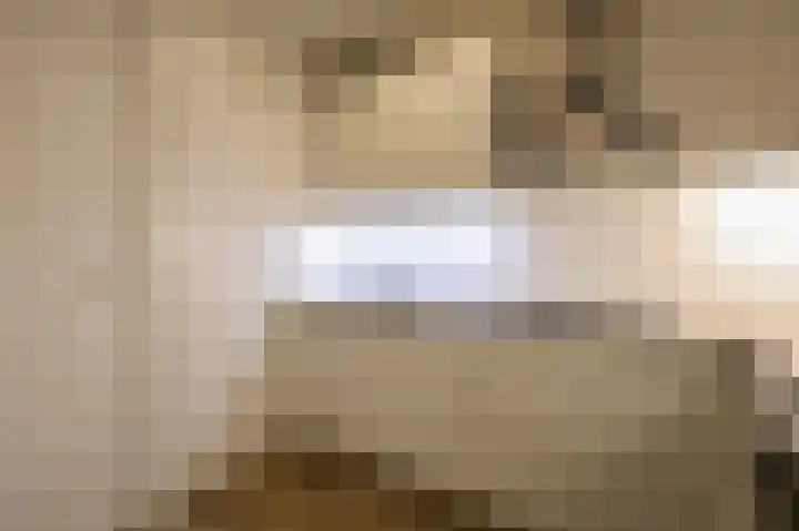De Rekere 13 Bergen (NH) thumbnail 5