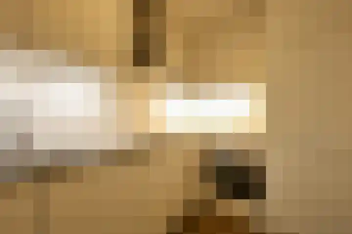De Rekere 13 Bergen (NH) thumbnail 6