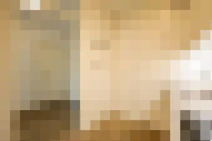 De Rekere 13 Bergen (NH) thumbnail 7