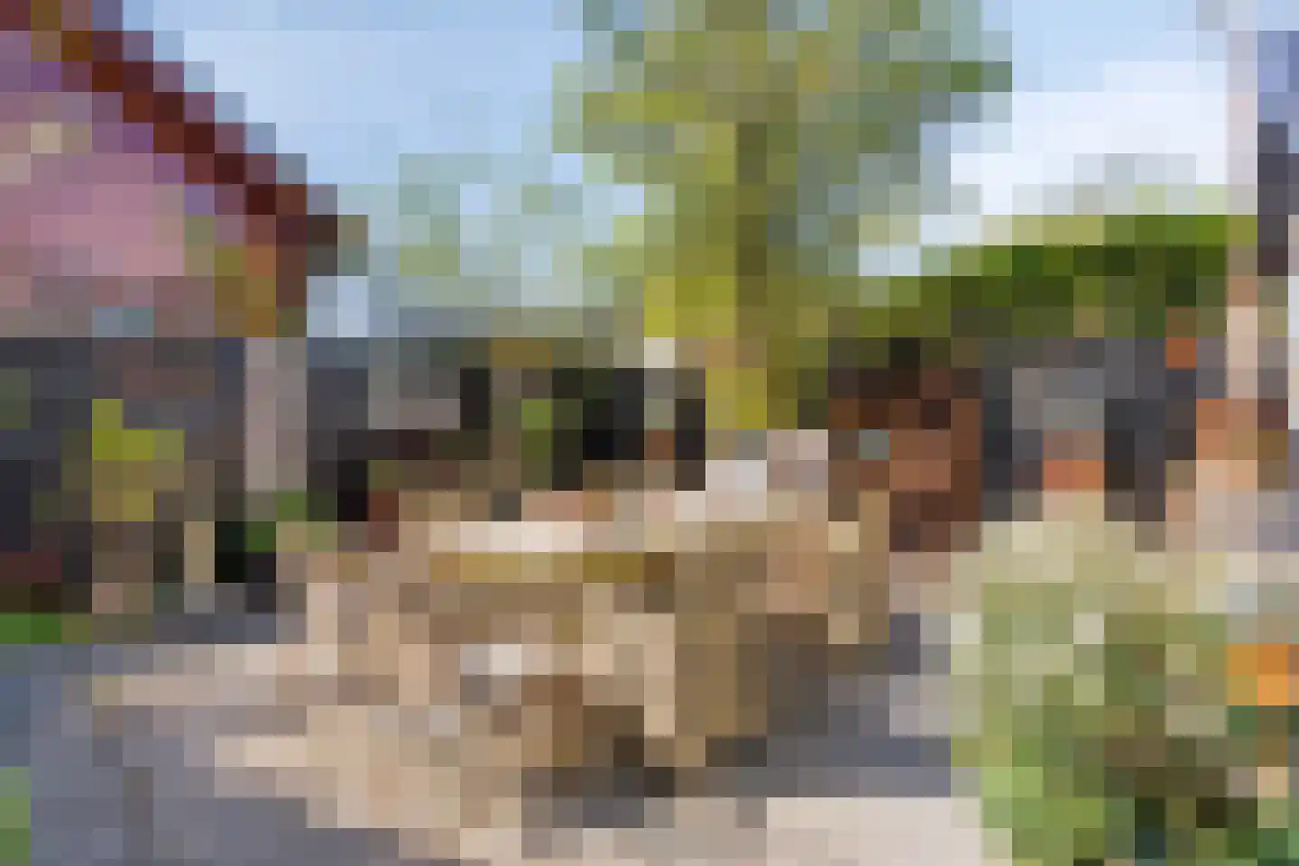 De Rekere 13 Warmenhuizen thumbnail 11