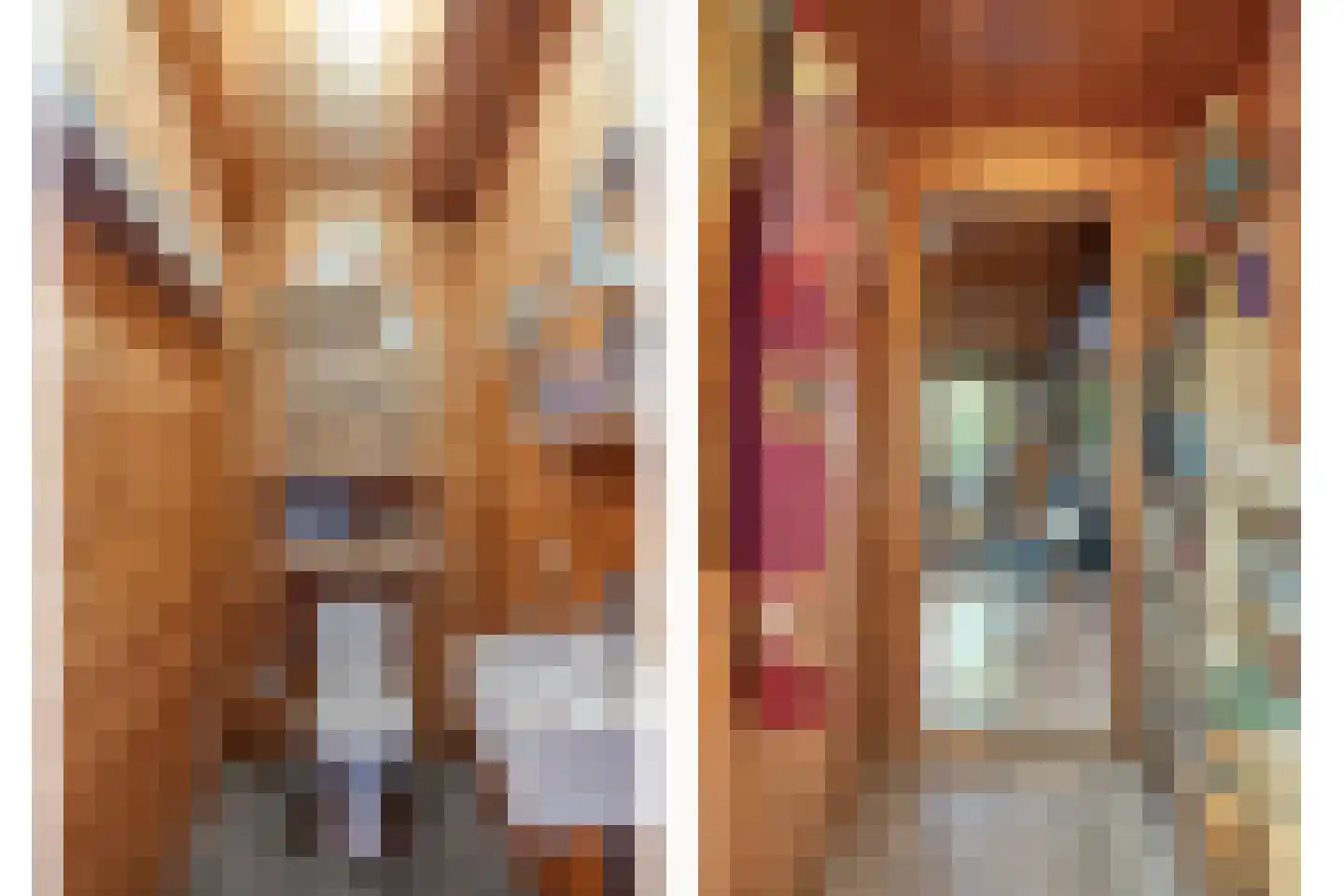 De Rekere 13 Warmenhuizen thumbnail 23