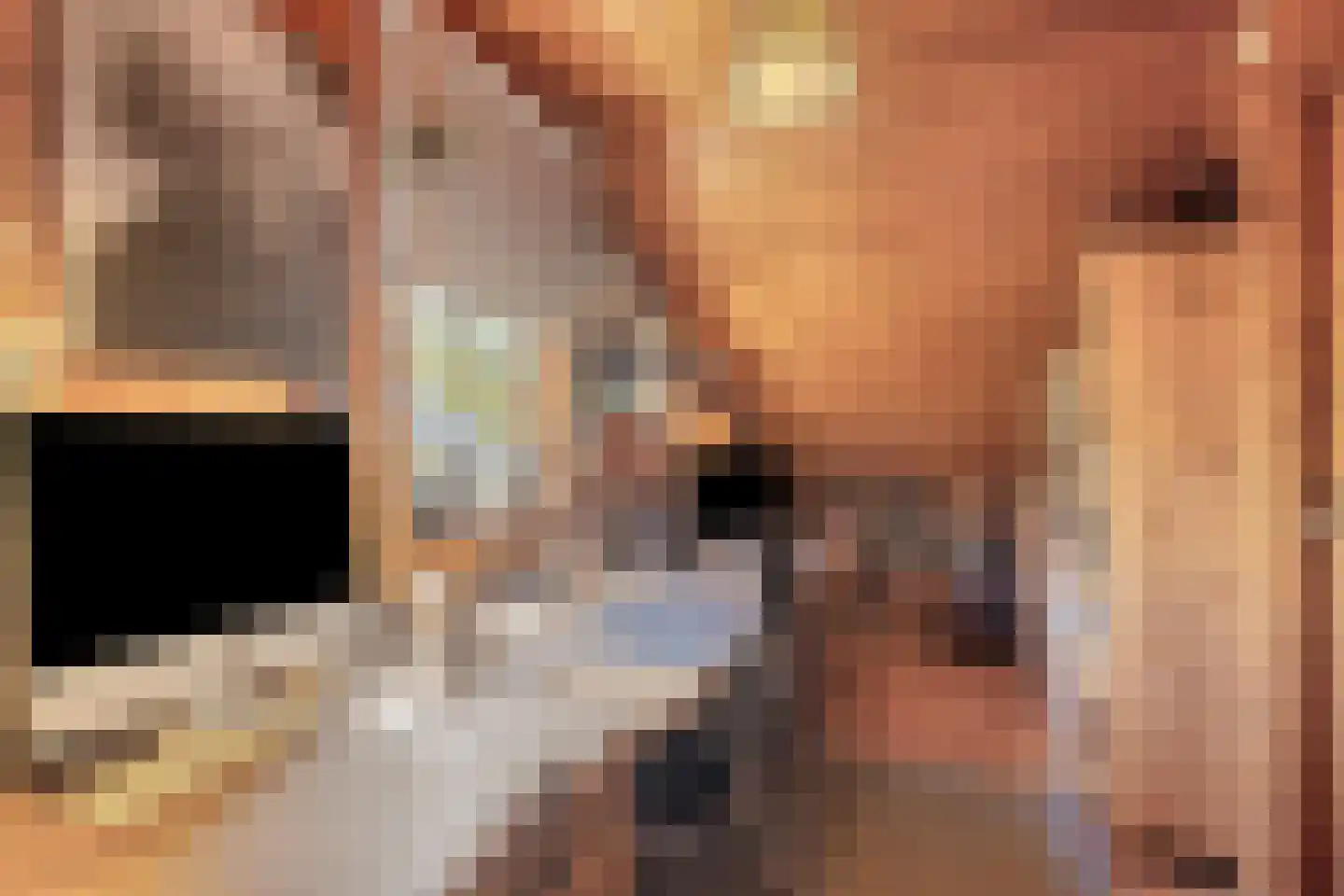 De Rekere 13 Warmenhuizen thumbnail 30