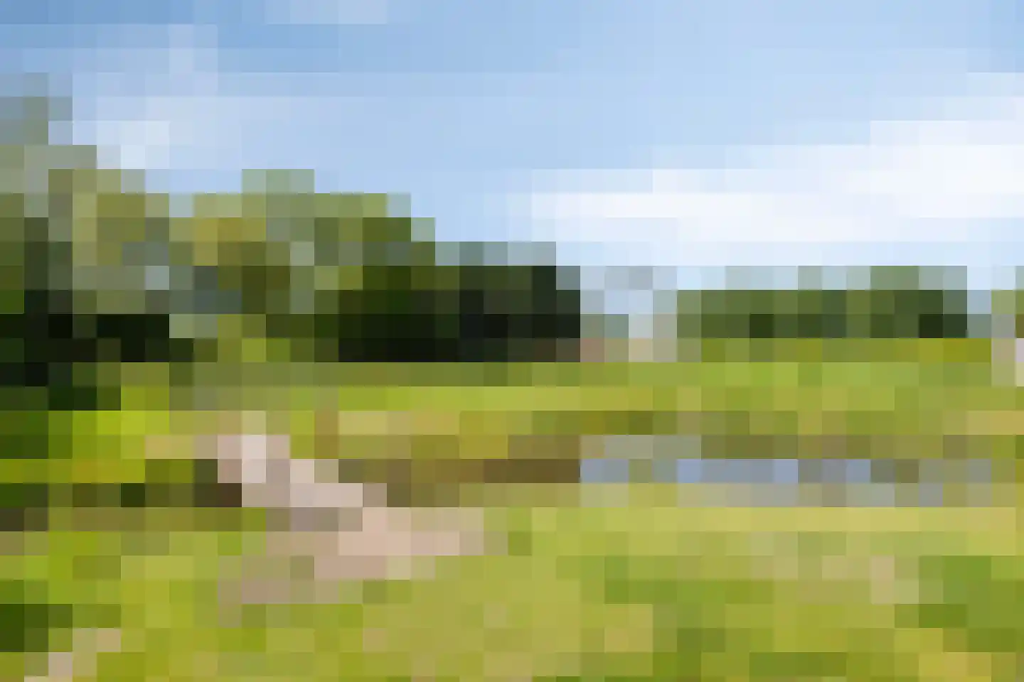 De Rekere 13 Warmenhuizen thumbnail 39
