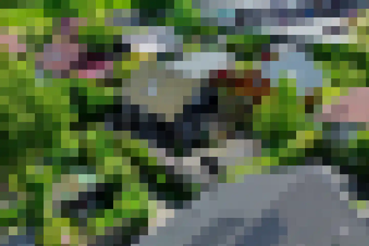 De Rekere 13 Warmenhuizen thumbnail 4