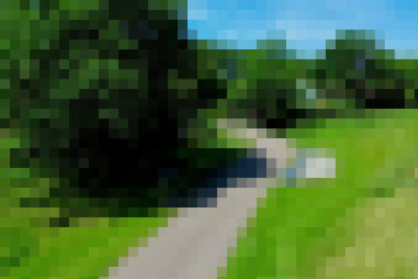 De Rekere 13 Warmenhuizen thumbnail 40