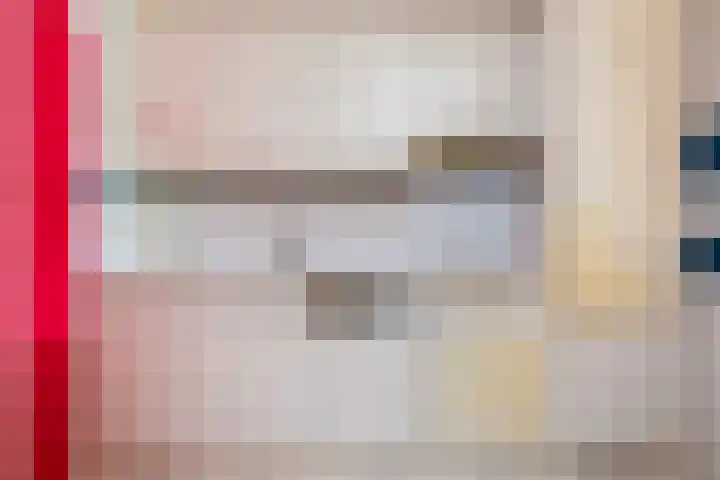 De Rekere 2 Bergen (NH) thumbnail 10