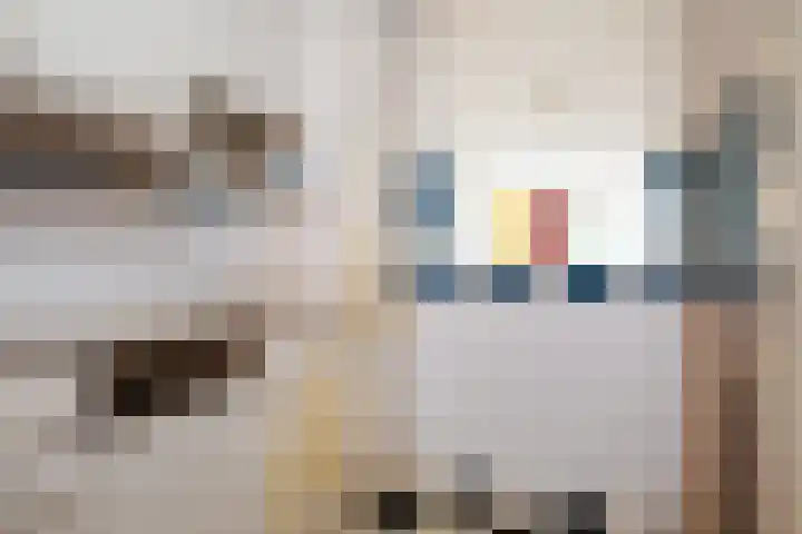 De Rekere 2 Bergen (NH) thumbnail 11