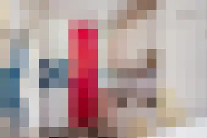 De Rekere 2 Bergen (NH) thumbnail 12