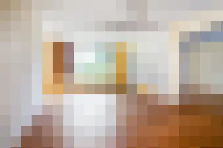 De Rekere 2 Bergen (NH) thumbnail 13