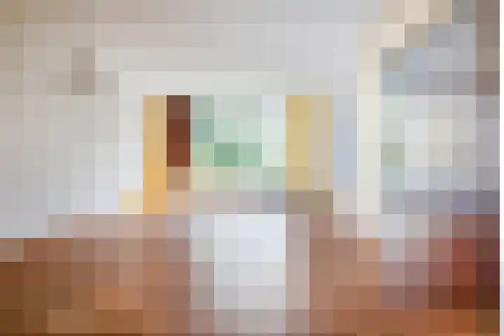 De Rekere 2 Bergen (NH) thumbnail 14