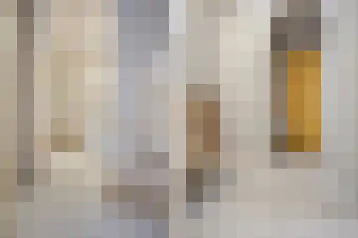 De Rekere 2 Bergen (NH) thumbnail 20