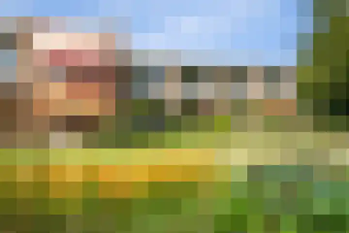 De Rekere 2 Bergen (NH) thumbnail 23