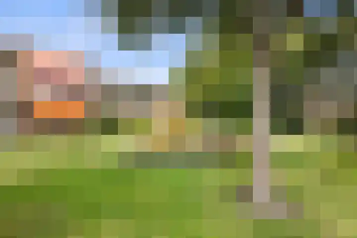 De Rekere 2 Bergen (NH) thumbnail 24