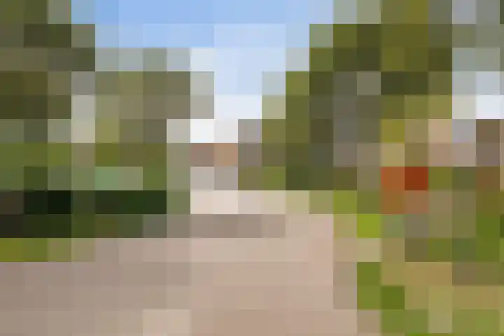 De Rekere 2 Bergen (NH) thumbnail 25