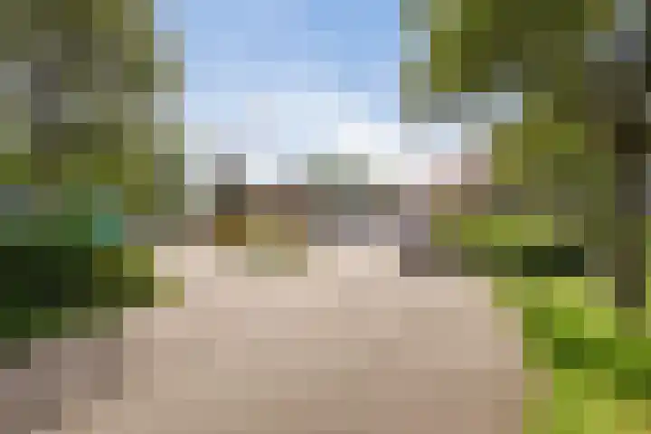 De Rekere 2 Bergen (NH) thumbnail 26