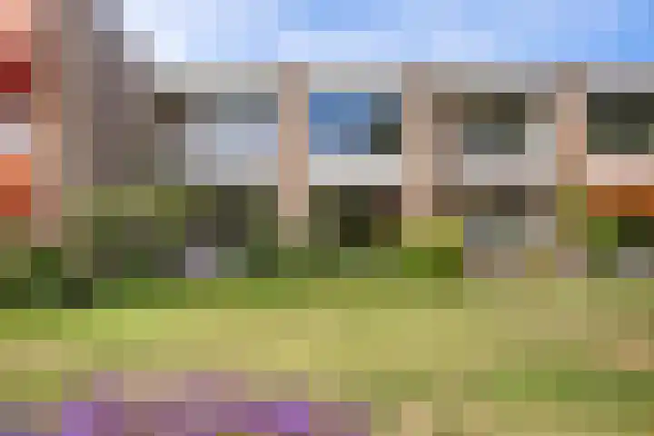 De Rekere 2 Bergen (NH) thumbnail 29