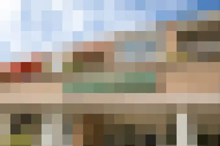 De Rekere 2 Bergen (NH) thumbnail 5