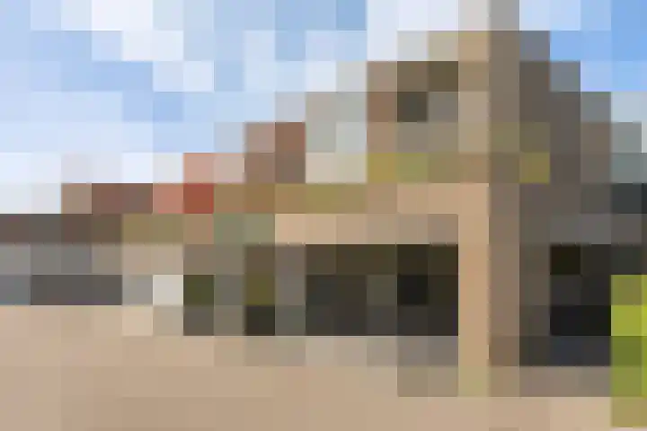 De Rekere 2 Bergen (NH) thumbnail 6