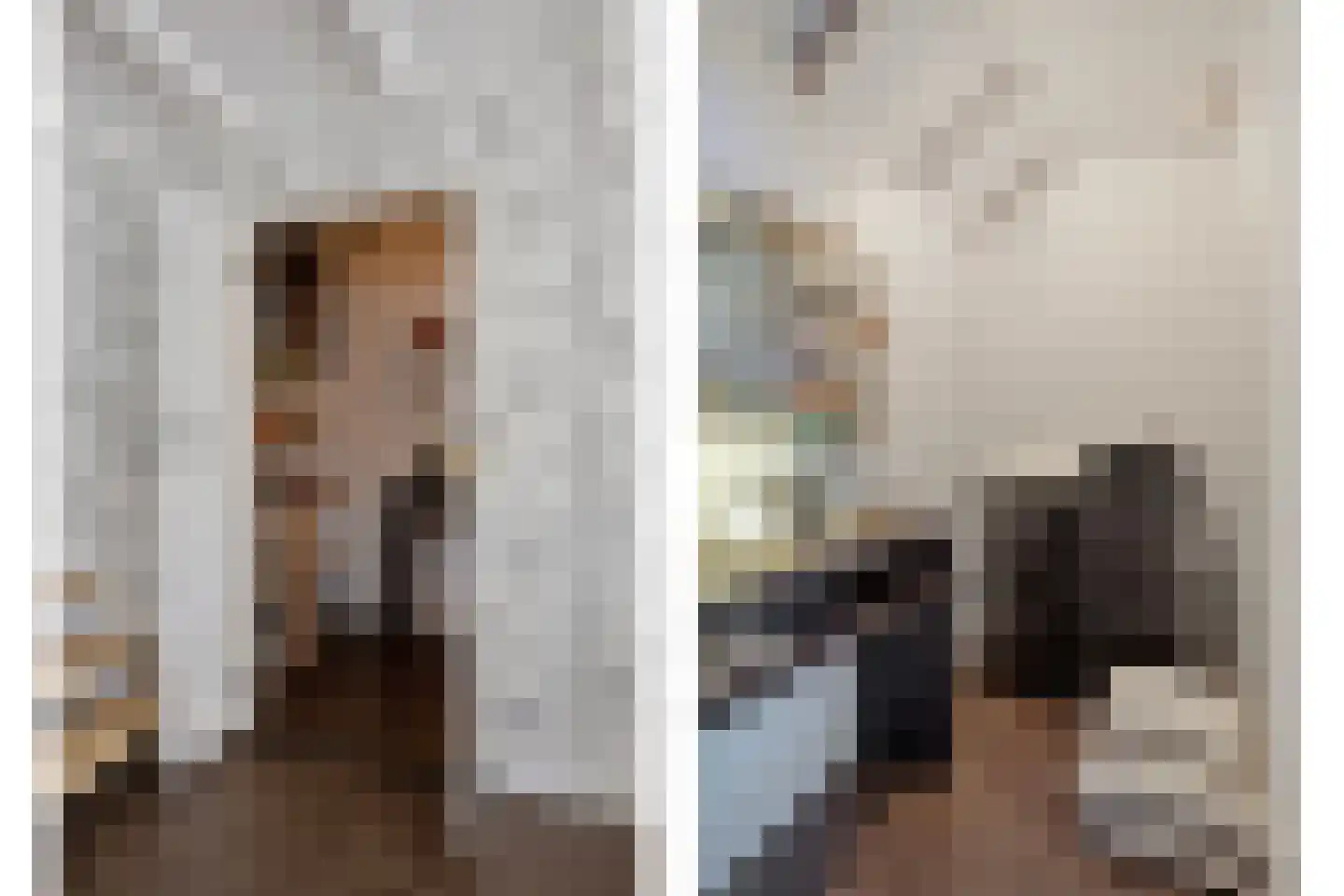 De Rekere 24 Warmenhuizen thumbnail 10