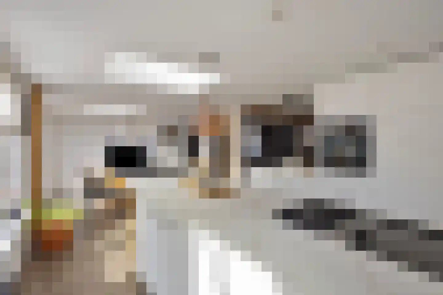 De Rekere 24 Warmenhuizen thumbnail 11