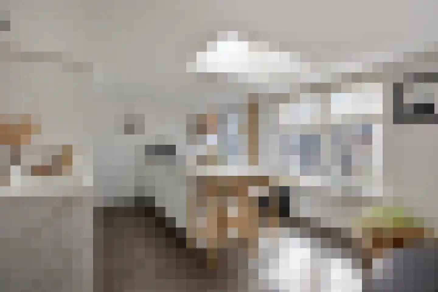 De Rekere 24 Warmenhuizen thumbnail 12