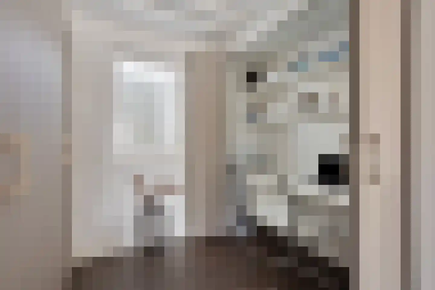 De Rekere 24 Warmenhuizen thumbnail 17